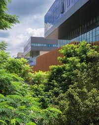 How CUHK(SZ) Student Union&nbsp;Runs